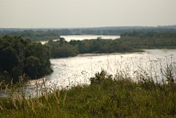Прыпяць